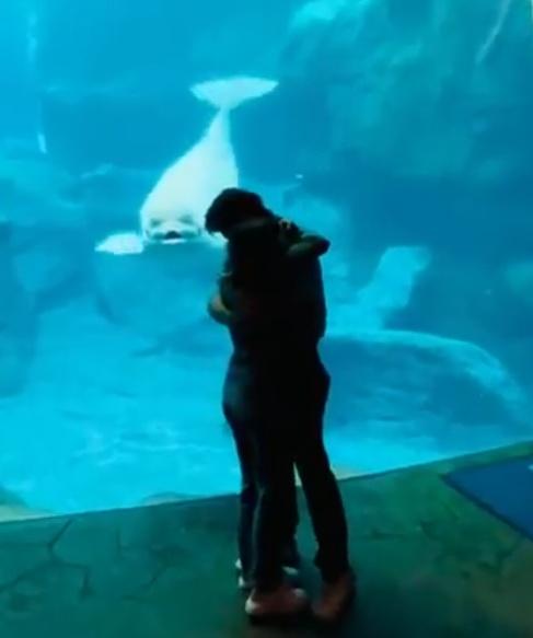 Olivia後緊緊地擁抱著未婚夫Gavin,Qinu似乎在背後微笑,然後旋轉並游走了。(X)