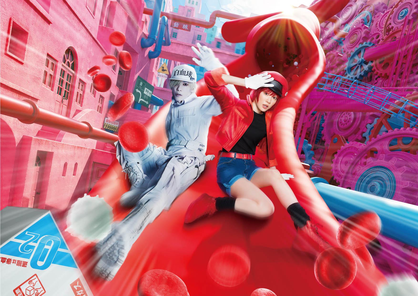 真人版電影《工作細胞》鐵定2月6日在香港上映。