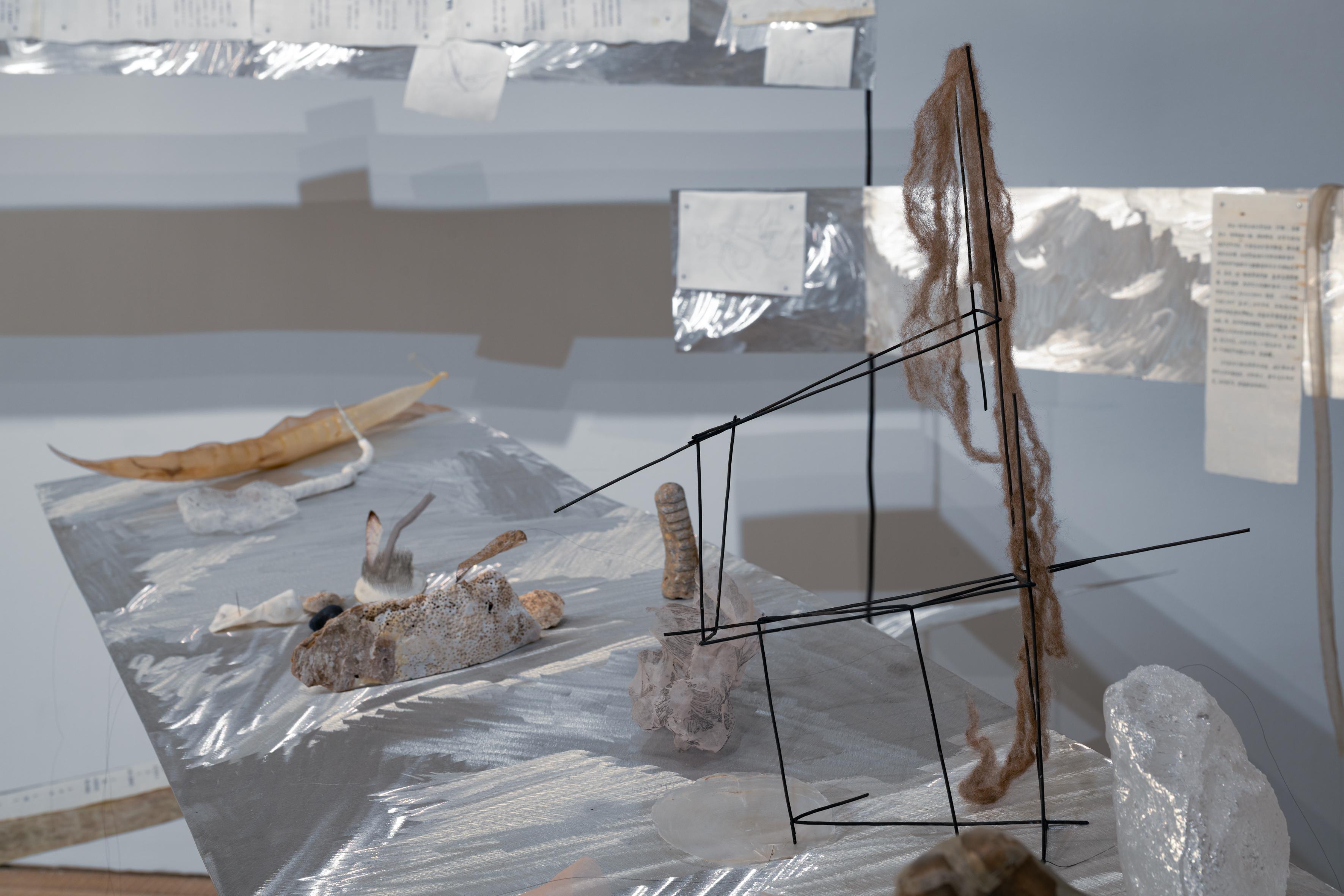 裝置作品《我有根,但我在漂蕩。》,內裡包含胡曉媛一首詩作。