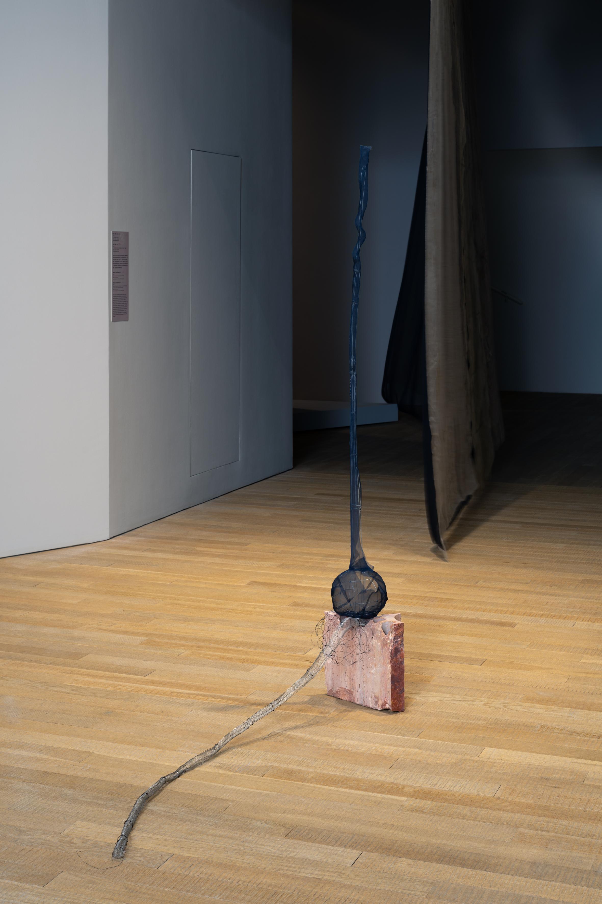 綃、不銹鋼網、沉積岩、鐵絲、線組成的裝置作品《心皮 二》。