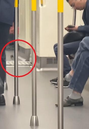 老鼠在一列港鐵車廂內四處奔走。(Threads截圖)