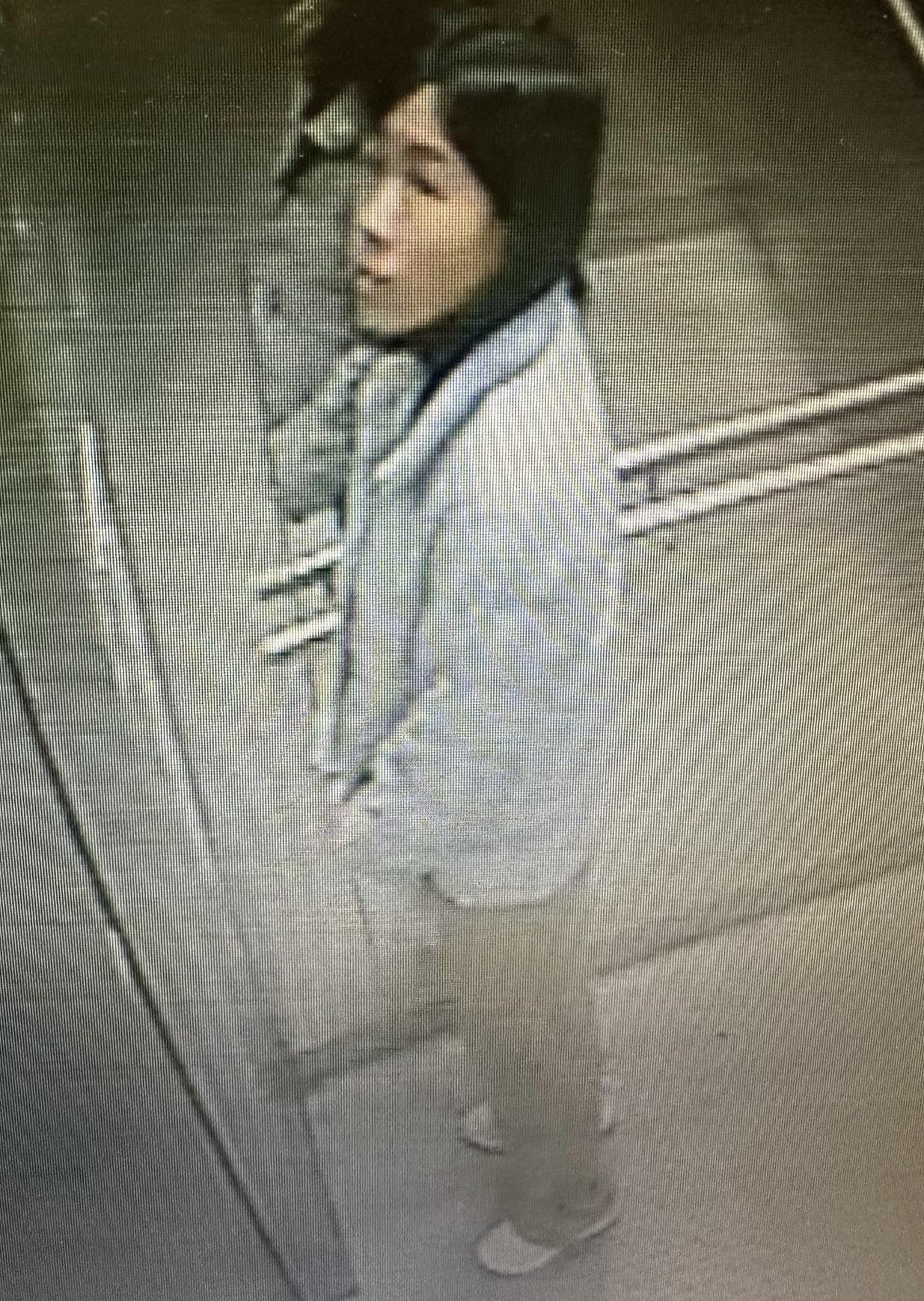 青衣37歲女子梁淑華失蹤。(政府新聞處圖片)