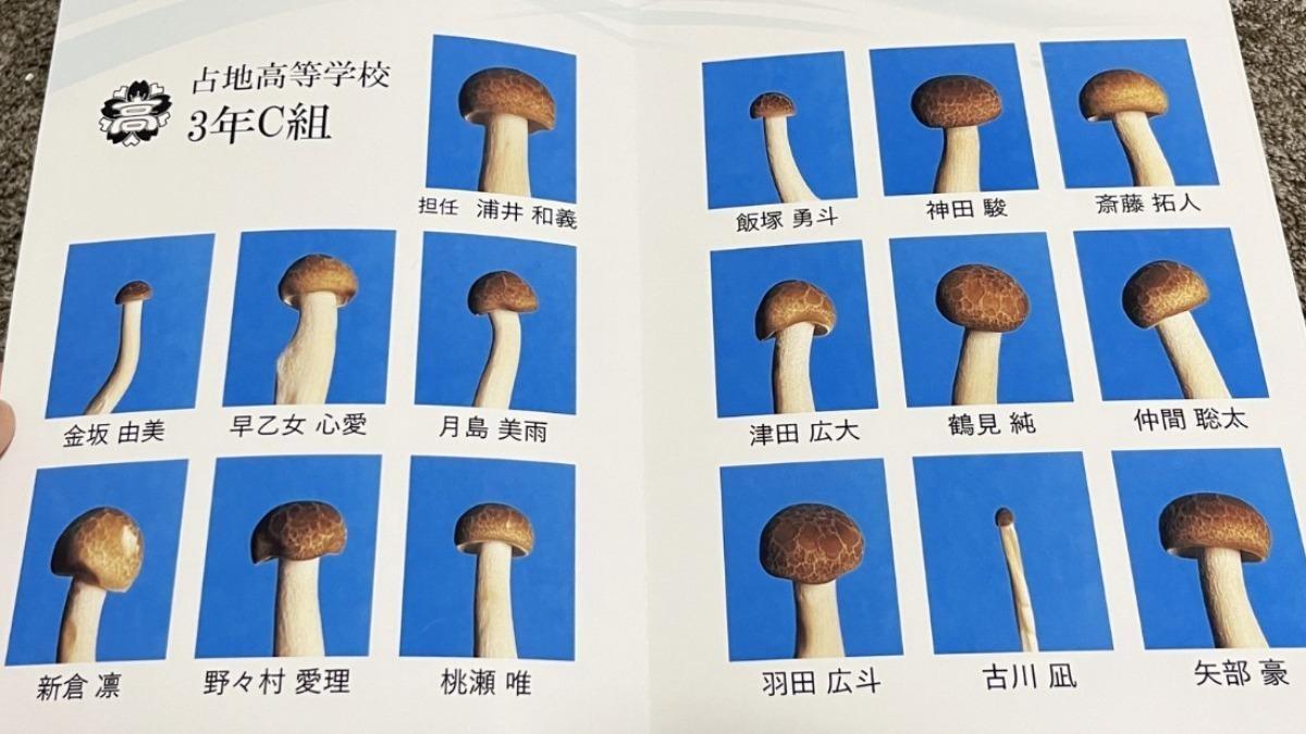 鴻禧菇畢業紀念冊