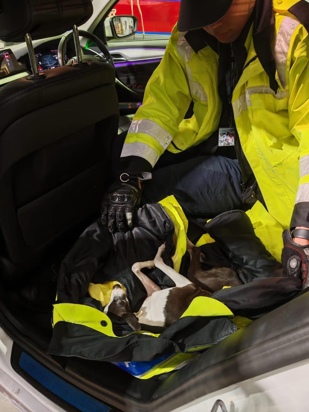 (香港警察Facebook)