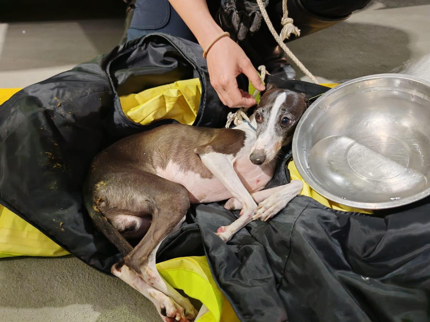 (香港警察Facebook)