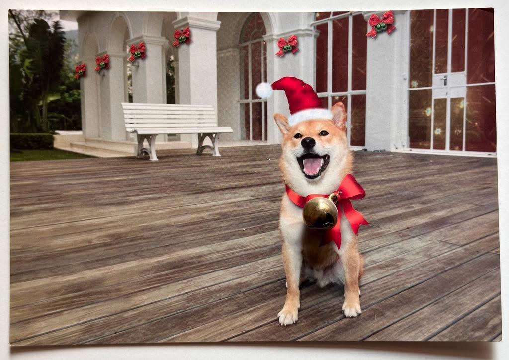 曾俊華的柴犬Oliver。(曾俊華FB)