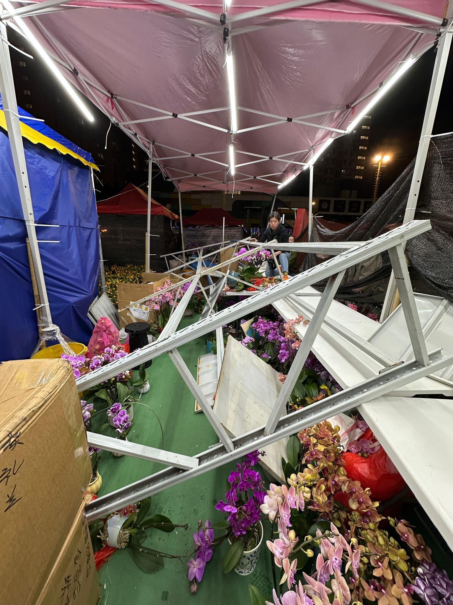 社交平台有賣花檔主表示,「雖然有帳篷,但在這幾天的強風下完全沒有招架之力。心痛蘭花被無情的強風摧毀、被倒下來的鐵架壓爛,今天需清理災後殘局及點算損失(THREADS)