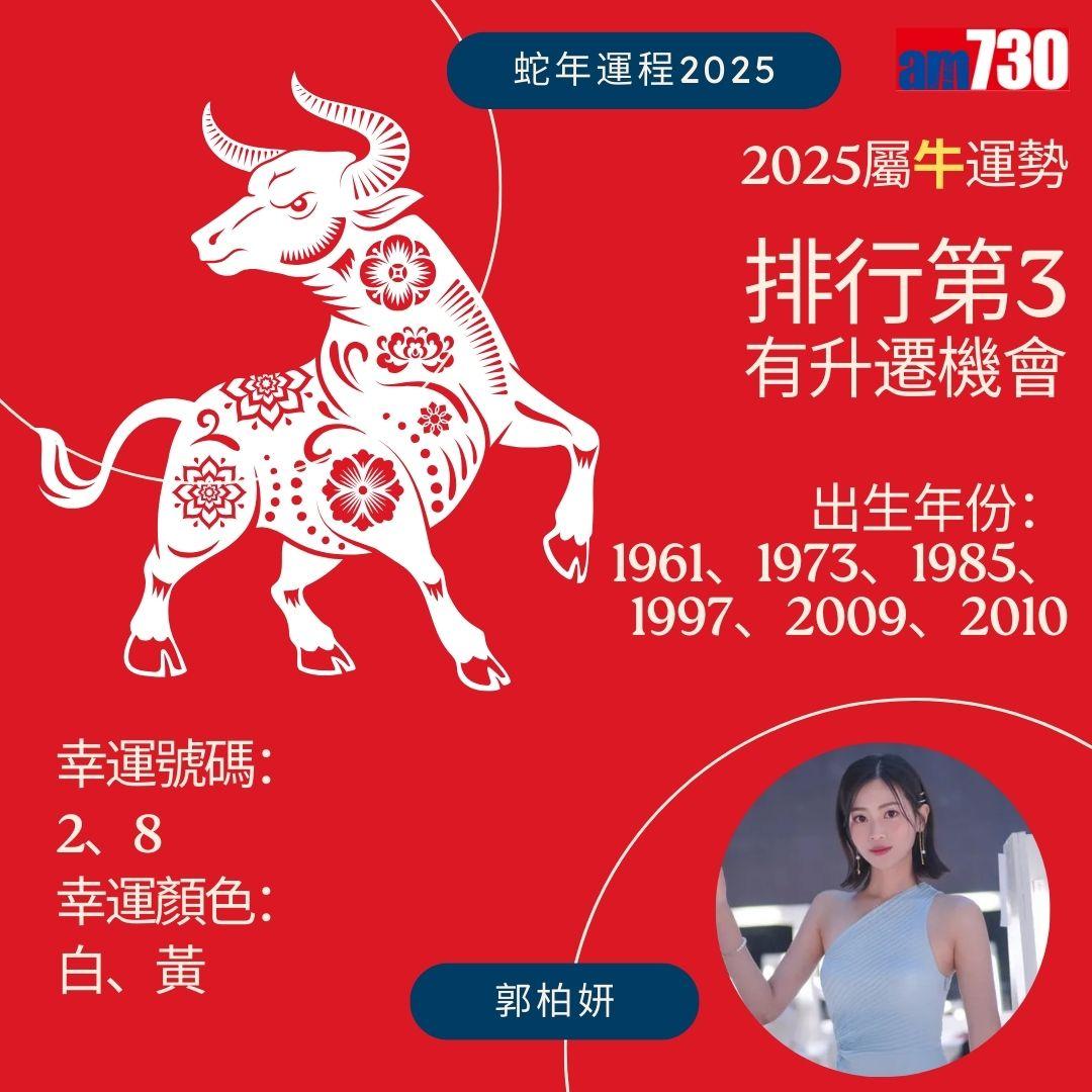 七師傅2025|蛇年12生肖運程排行榜 - 牛排行第3