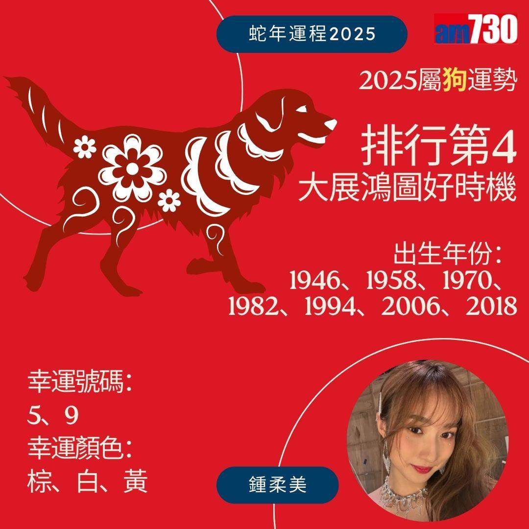 七師傅2025|蛇年12生肖運程排行榜 - 狗排行第4