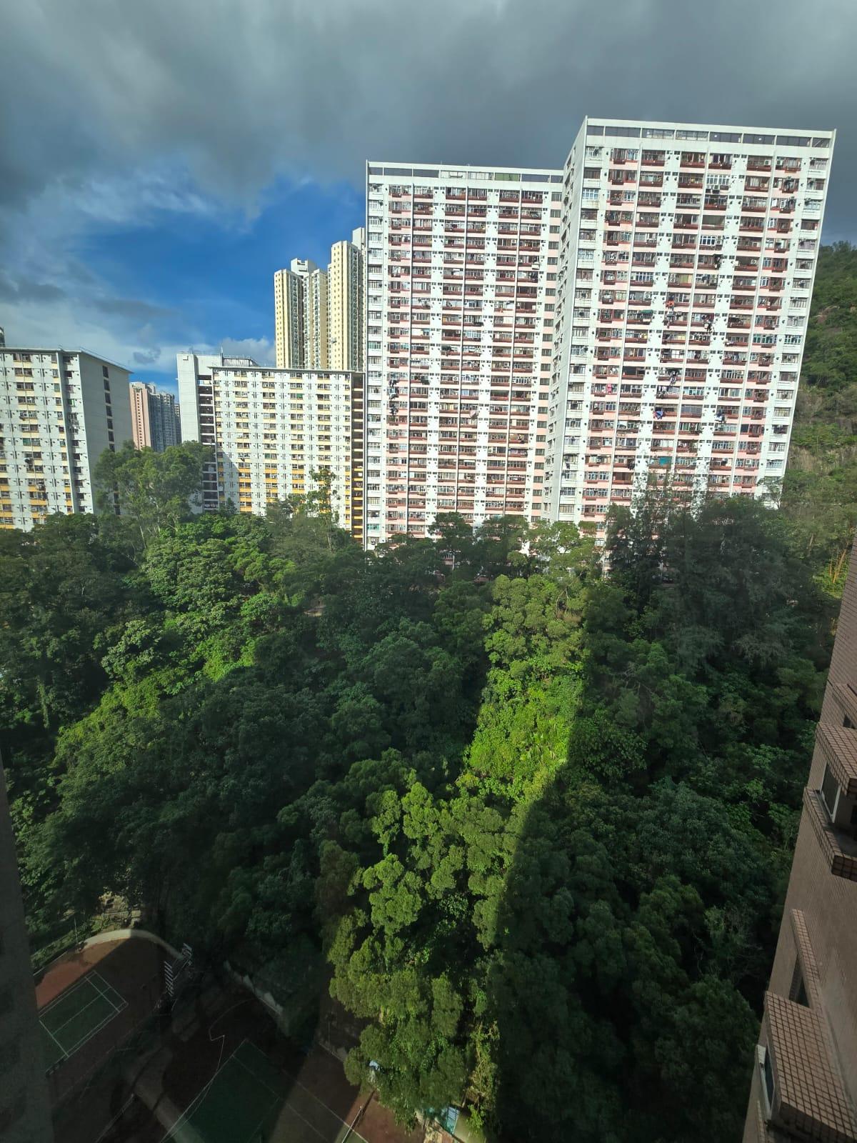 嘉翠園中高層A室,實用面積約465方呎,原則兩房間隔。(代理提供)