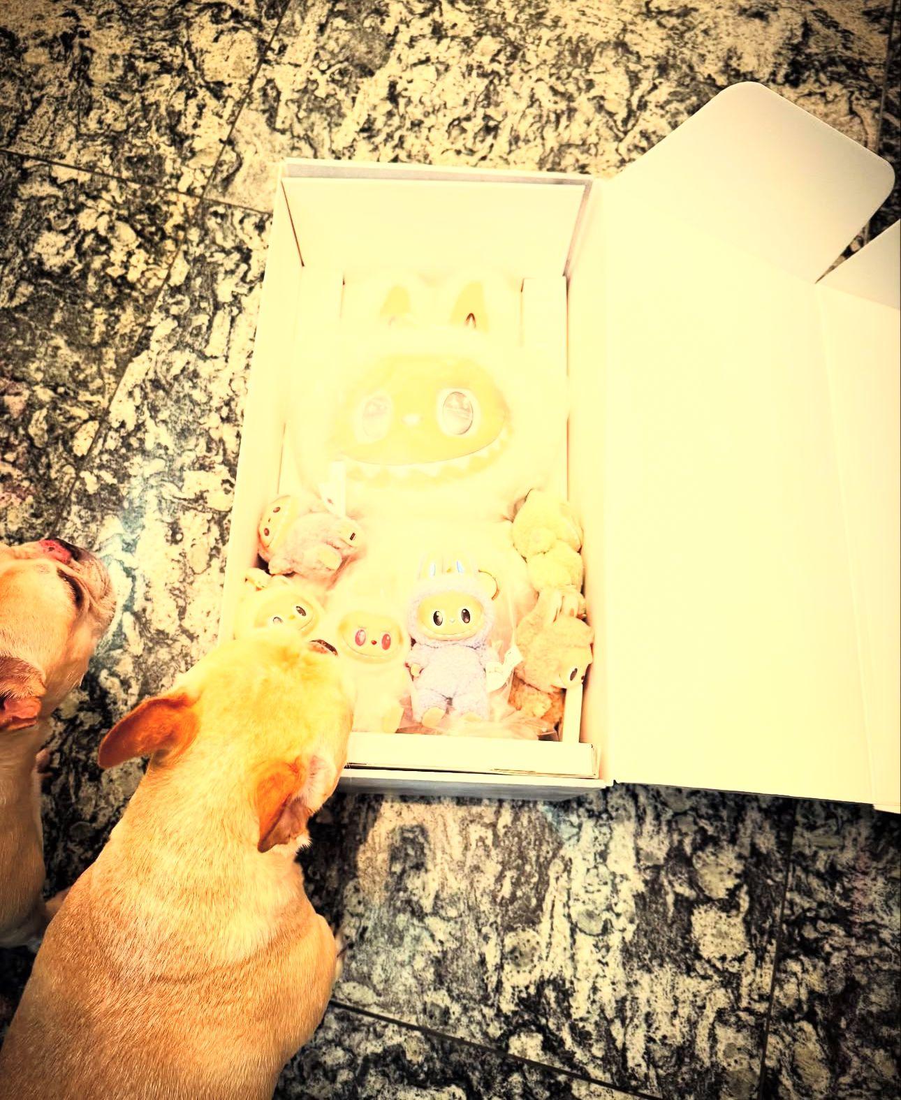 完成廣州個唱的步姐,近日在社交網大曬Labubu白天使。