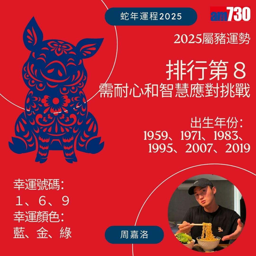 七師傅2025|蛇年12生肖運程排行榜 - 豬排行第8