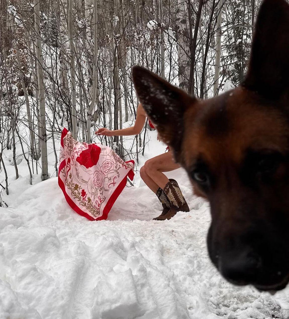 狗狗亂入鏡頭。