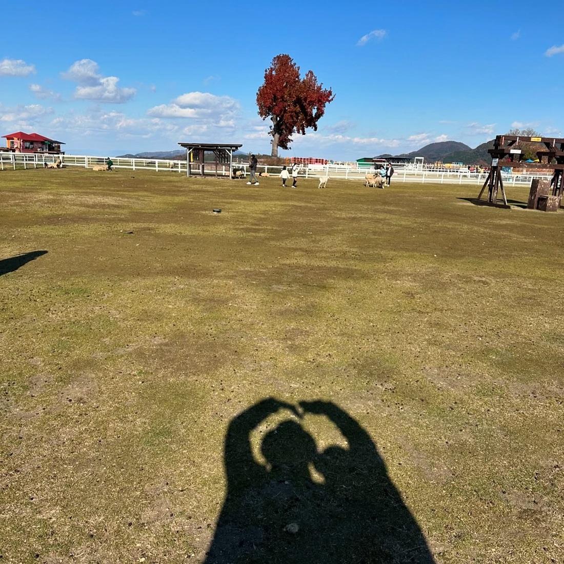 阿聰Kay結婚咁耐依然愛晒sweet。