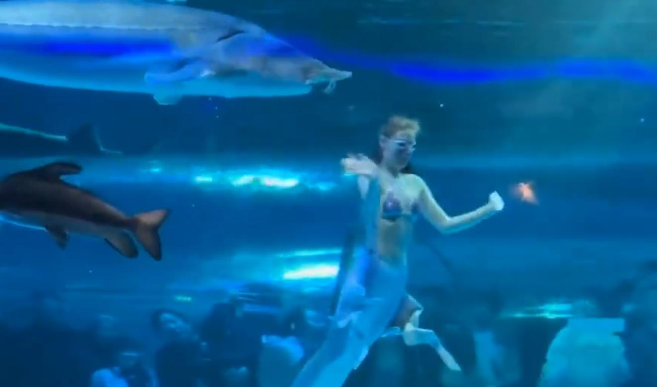 俄羅斯籍的馬莎想浮上水面之際發生意外。(網上截圖)