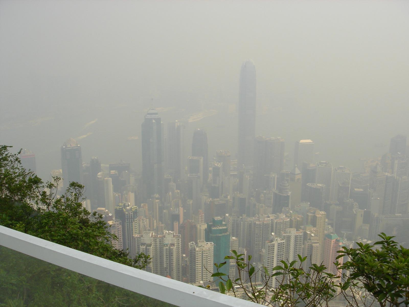 山頂豐林閣居高臨下,每幢洋房均享有無敵景觀。