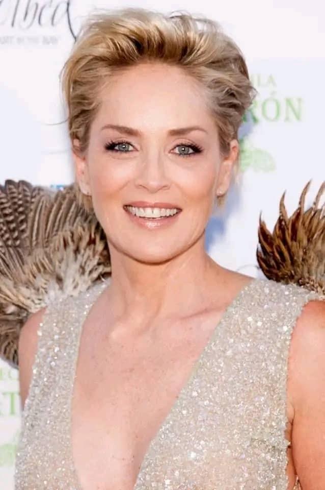 69歲的莎朗史東,捐救援物資幫助災民。