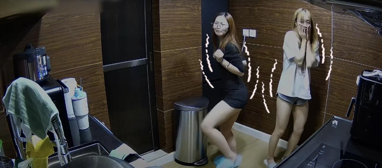 張敬軒發跡屋,多次出現曱甴。