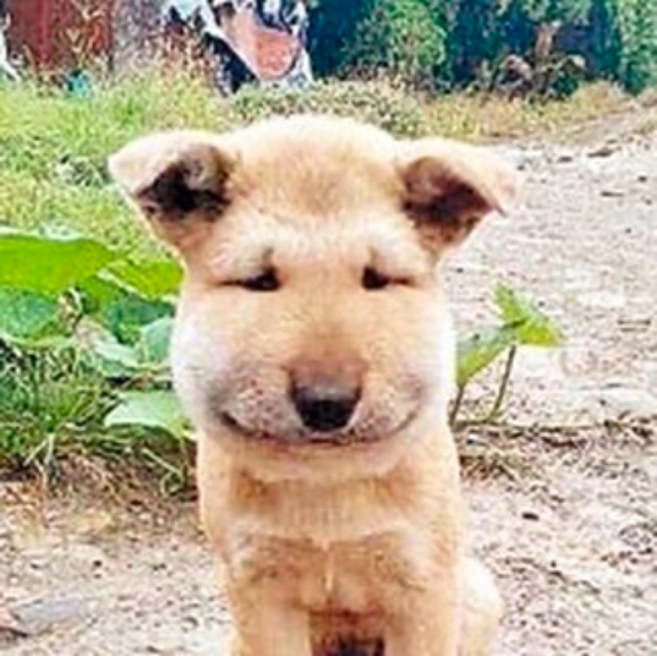 圖片來源:Threads