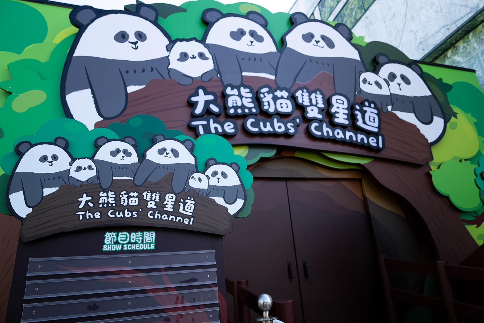 大熊貓雙星道(林靄怡攝)