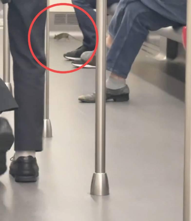 女網民稱「到咗2025年,米奇都識搭鐵去迪士尼了」。(Threads截圖)