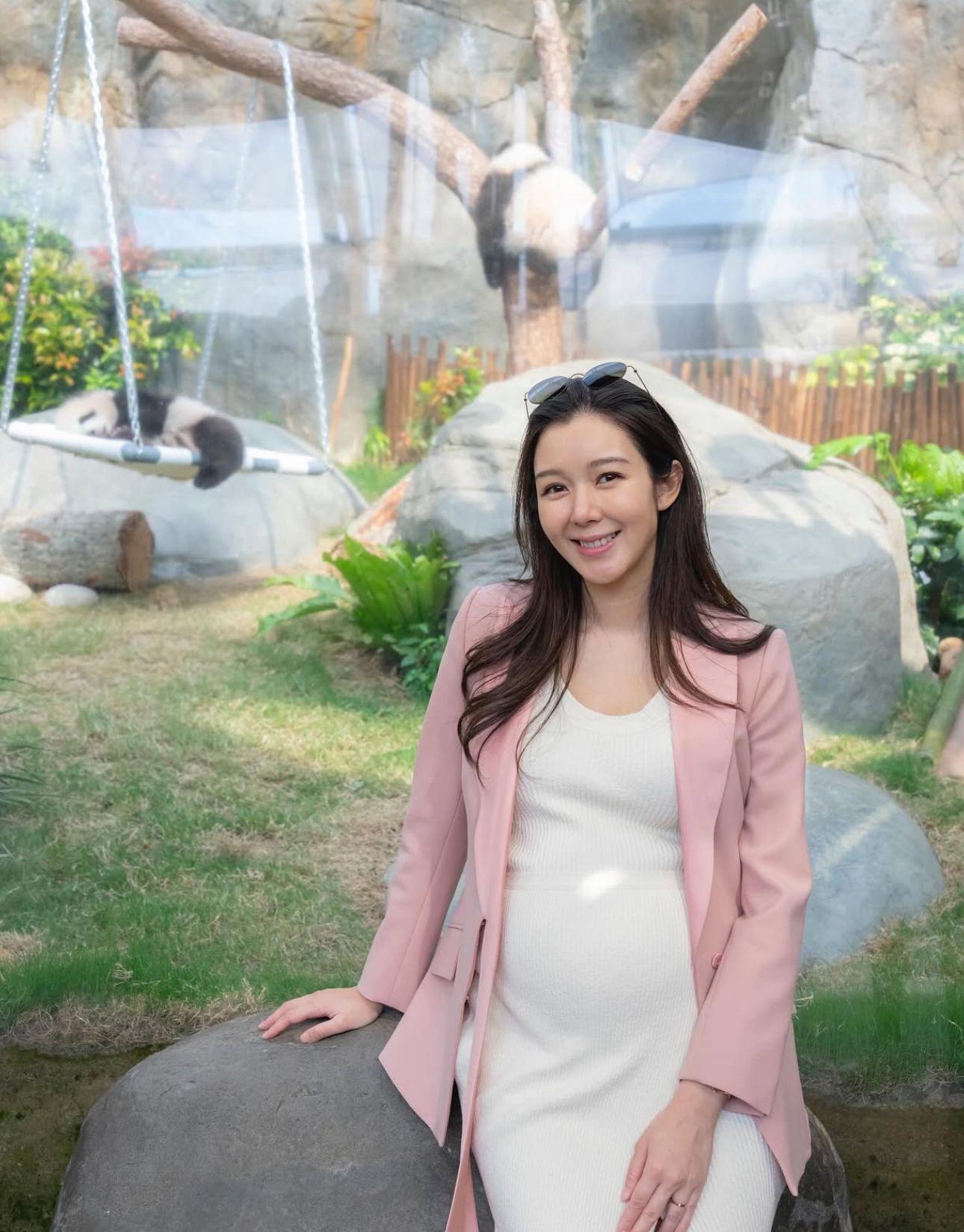 盛勁為招聘外傭幫手湊B 公開豪宅照片自爆麥明詩預產期