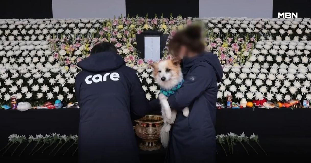 動保人員抱著布丁致祭。(互聯網)