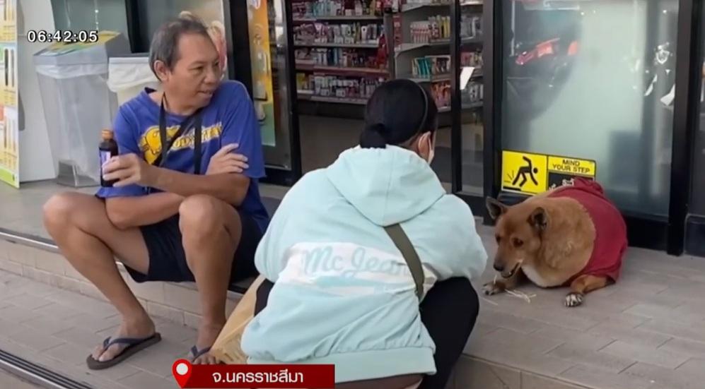 民眾給狗狗餵食。(互聯網)