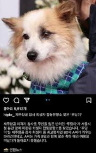 動保人員把布丁抱進靈堂。(互聯網)