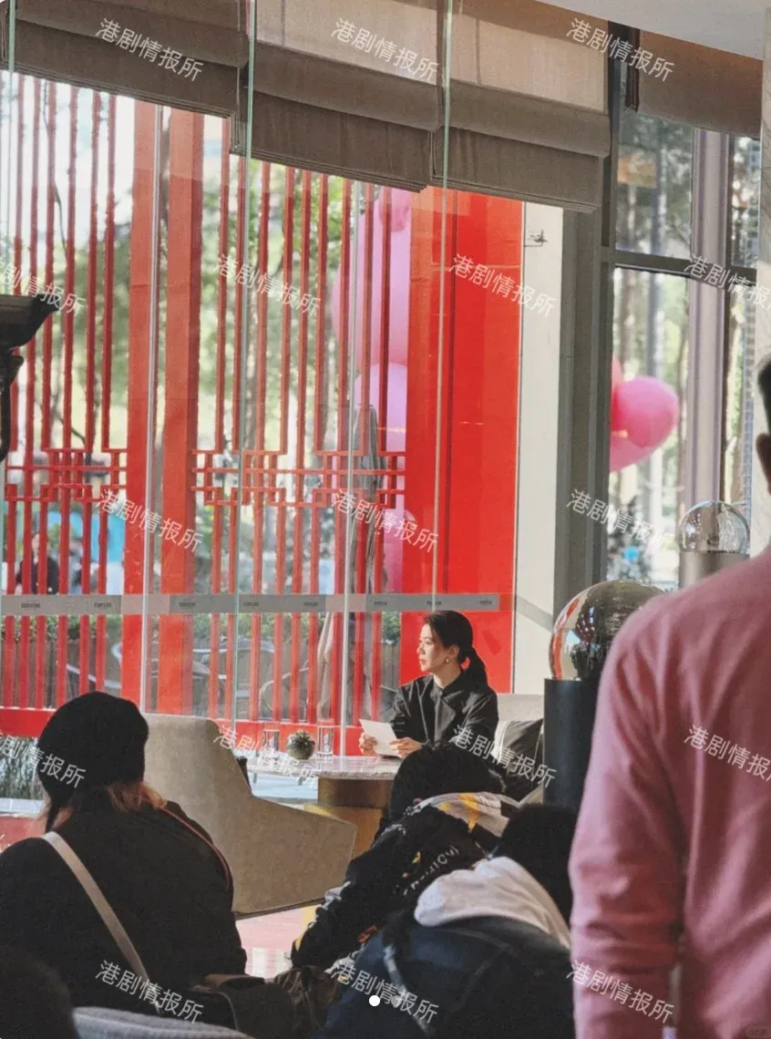 袁詠儀被內地網民捕獲