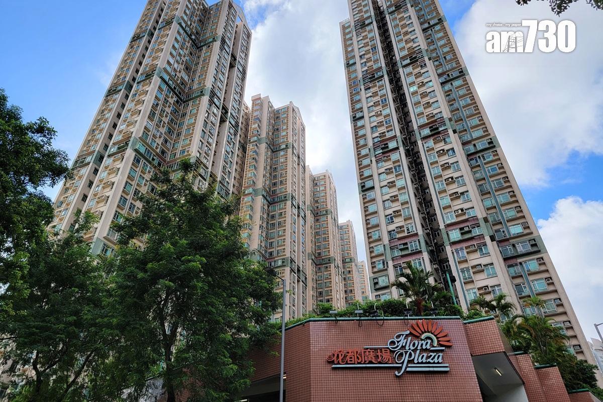 花都廣場為恒地及及華懋合作發展的粉嶺私人屋苑,共由10座大廈組成,主打370至536方呎細單位。(資料圖片)