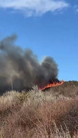 火勢在山脊蔓延。(互聯網)