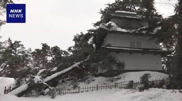 青森知名旅遊景點弘前城瞭望樓外牆因大雪壓倒樹木而損毀。(互聯網)