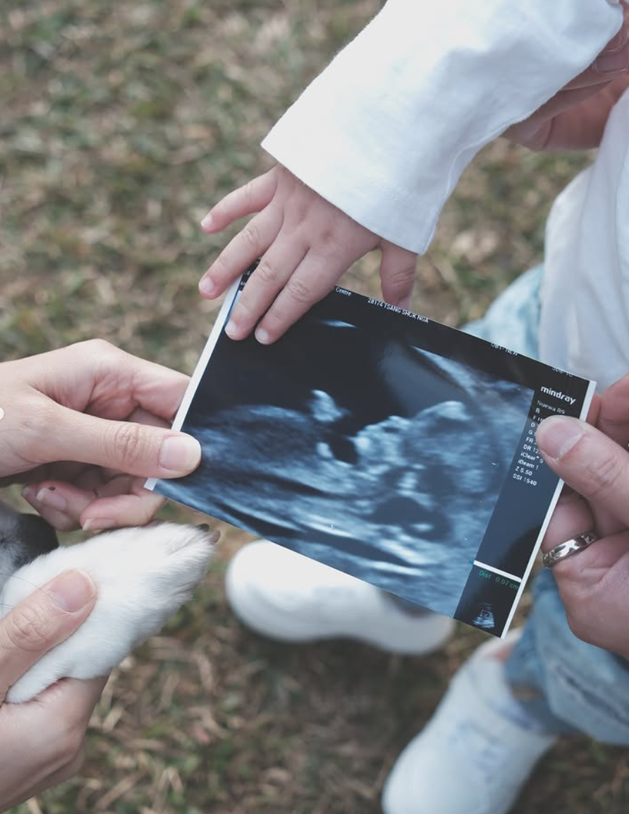 Jumbo在元旦貼出全家福,並手執一張超聲波照報喜。