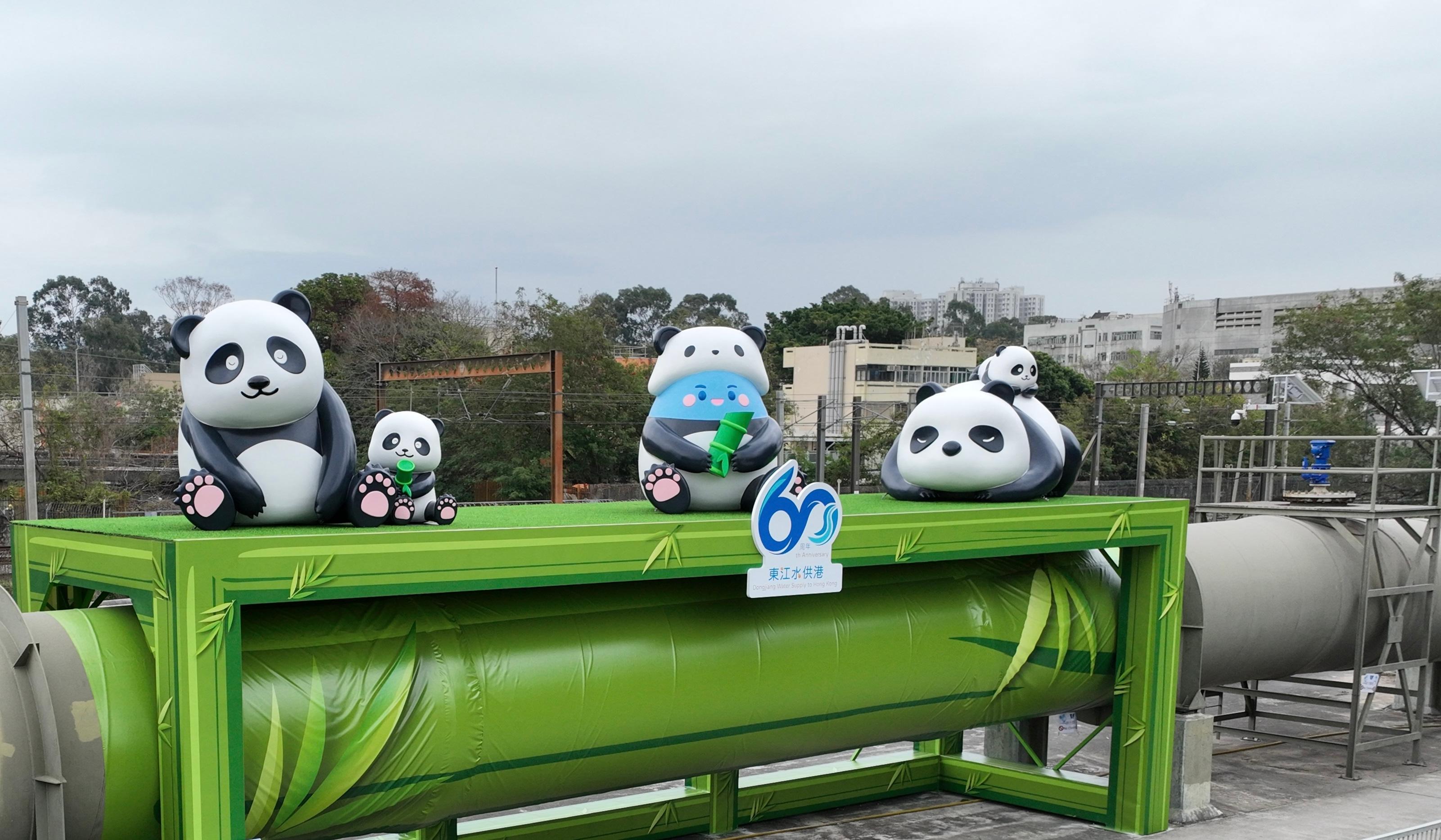 水務署於明日(一月二十八日)起至五月十八日舉行「東江水供港60周年打卡挑戰」活動,鼓勵市民近距離接觸多個與東江水相關的水務設施並拍照「打卡」。圖示其中一個「打卡」點上水東江水輸水管特別佈置成竹子,並裝上生動可愛的大熊貓和水務署吉祥物「滴惜仔」大熊貓造型裝置。