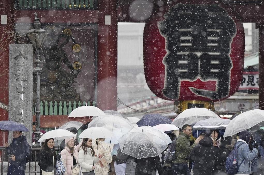 東京去年2月5日下大雪,民眾遊覽淺草寺時撐傘擋雪。(資料圖片)