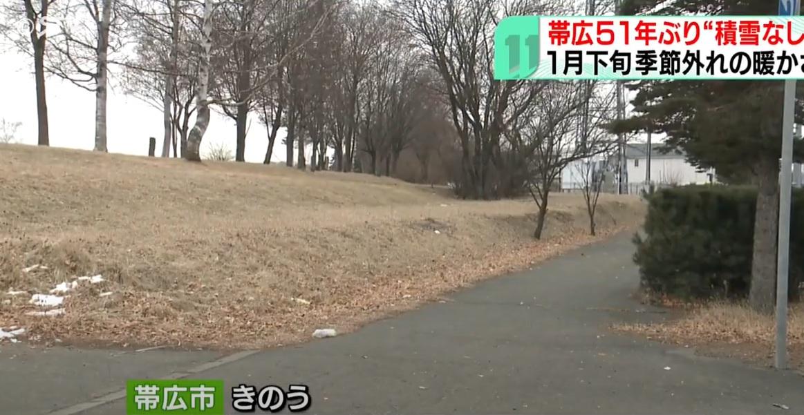 因天氣溫暖,帶廣市相隔51年再出現1月下旬無積雪情況。(互聯網)