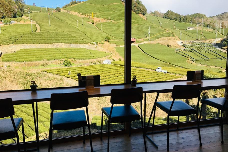 京都府最大茶葉產地和束町。(互聯網)