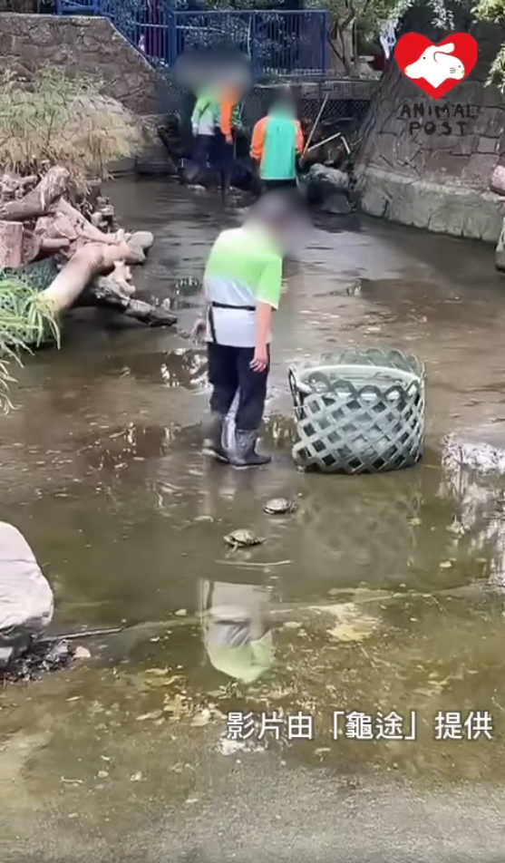 《香港動物報》FB影片截圖