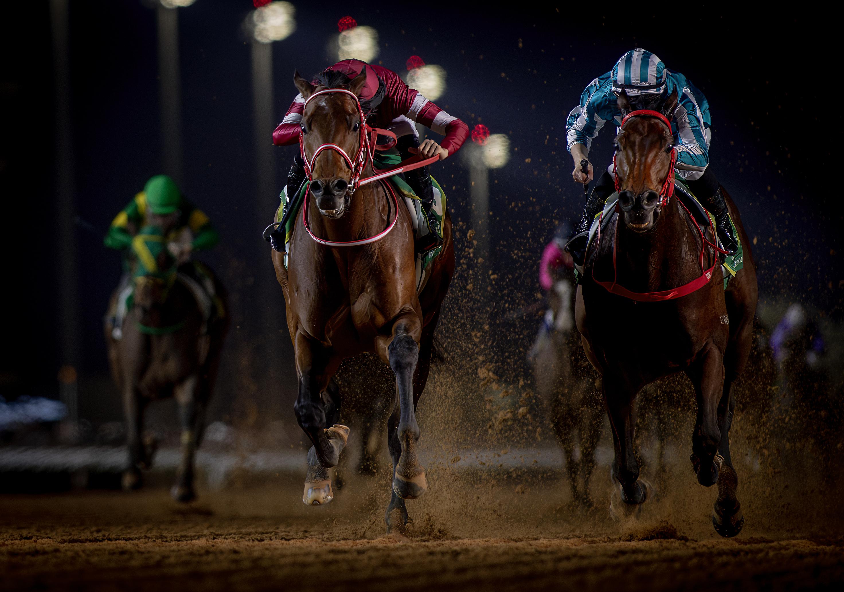 浪漫勇士(右)首戰泥地一級賽奪亞軍。(馬會提供)