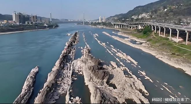 圖中可清晰見到分布於宜賓南廣河與長江交匯處的龍脊石。(網上圖片)