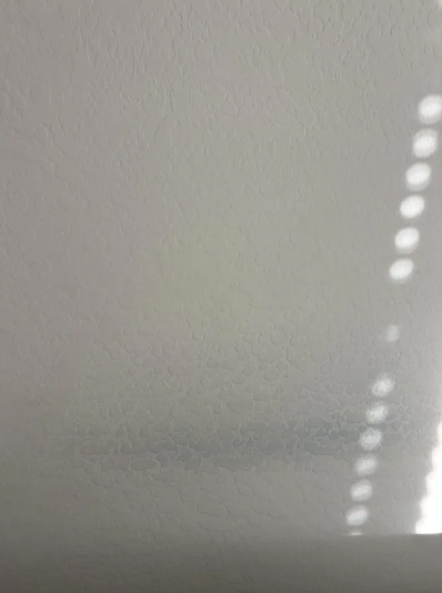 女事主發現家中白貓及多種物品無端染上暗綠色。(互聯網)