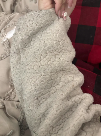 女事主發現家中白貓及多種物品無端染上暗綠色。(互聯網)