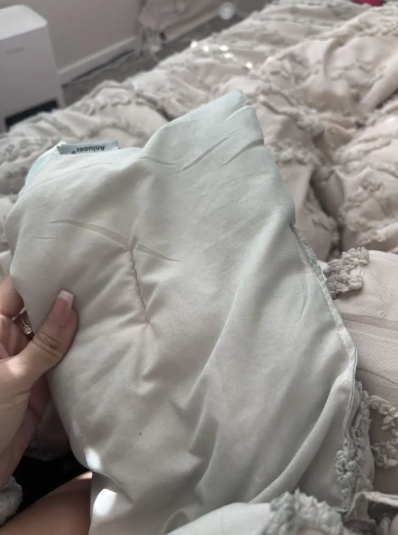 女事主發現家中白貓及多種物品無端染上暗綠色。(互聯網)