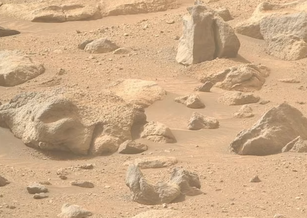 NASA的毅力號火星探測器於2024年9月亦在火星表面拍攝到形狀像人臉的岩石(左邊)。(互聯網)