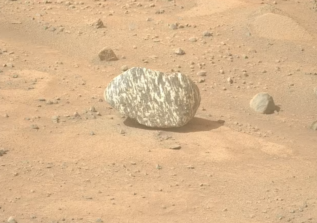 NASA的火星探測器亦曾在火星拍到一塊斑馬紋的岩石。(互聯網)