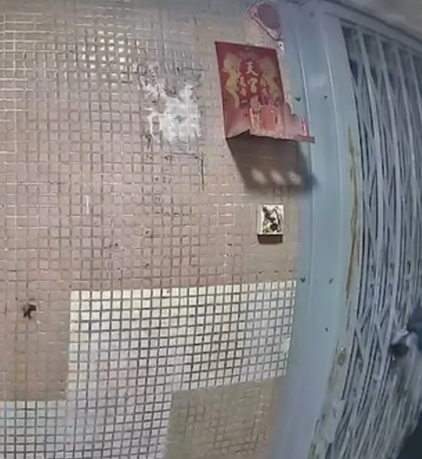 一名男子闖進黃大仙下邨龍豐樓,向其中一個單位門口的鐵閘及門鐘抹上糞便。(影片截圖)