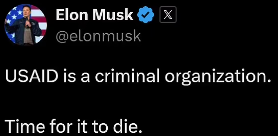 馬斯克稱美國國際開發署是「犯罪組織」。(互聯網)
