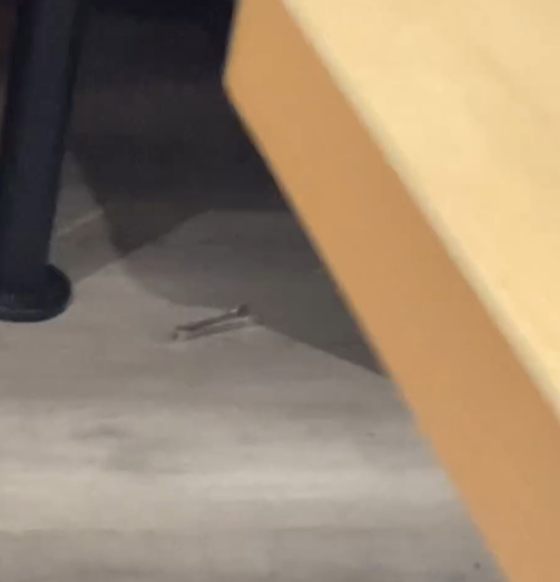 拍到影片的網民表示及後向職員反映,對方隨即收起公用鉗清洗。(Threads)