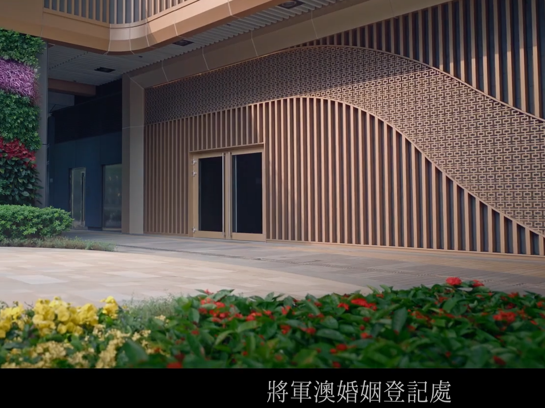 (入境處影片截圖)